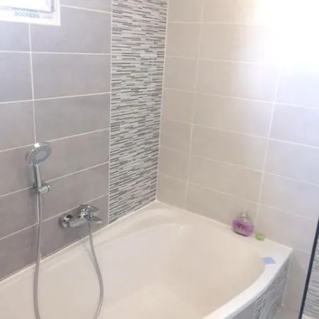 De 3 Chambres Avec Piscine Privee Jacuzzi Et Jardin Clos A Auterive Vila
