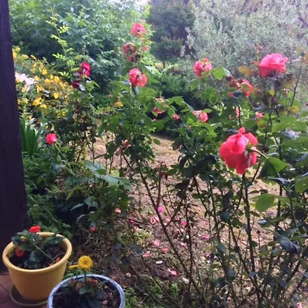 De 3 Chambres Avec Piscine Privee Jacuzzi Et Jardin Clos A Auterive Vila *