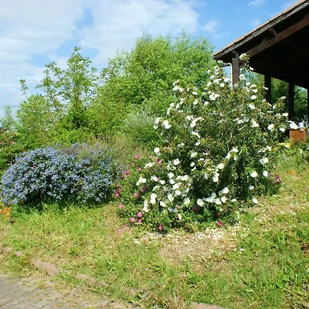De 3 Chambres Avec Piscine Privee Jacuzzi Et Jardin Clos A Auterive Vila Auterive (Haute-Garonne)